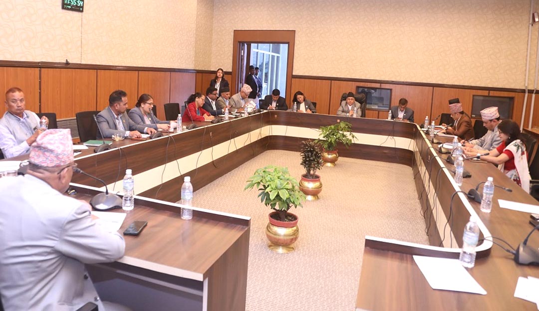 कुलिङ पिरियड प्रकरणमा संसदको छानबिन समिति गठन, सात सदस्यको टिम तयार
