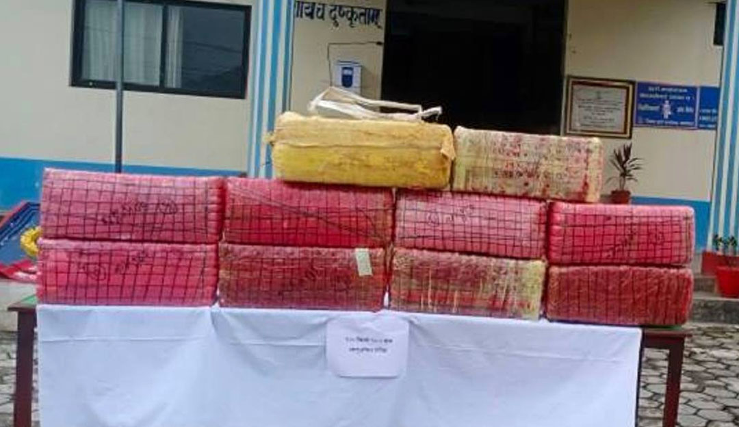 सर्लाहीमा एम्बुलेन्सबाट ५१ किलो गाँजा बरामद, चालक पक्राउ