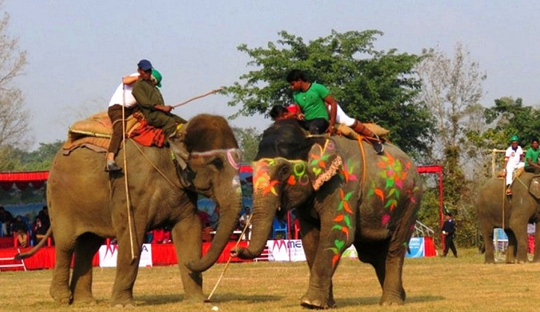 सौराहामा पुस ११–१३ गते १९औँ चितवन हात्ती तथा पर्यटन महोत्सव हुने