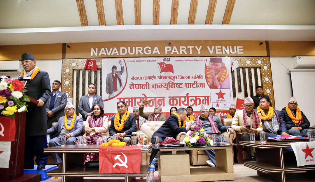 देश अझै संकटमै, दुर्घटना टरिसकेको छैन : प्रचण्ड